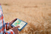 12 Best Agriculture Software Development Companies for Agribusinesses