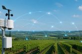 1NCE connectivity to support Pessl Instruments’ smart farming sensor network