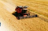 Quectel Integrates RTK, LTE and LoRa Into QLM290P Positioning Platform